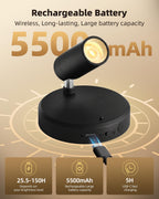 EZVALO Wireless LED Spotlights Indoor, 5500mAh Rechargeable Battery-Powered Plant Spotlights, Dimmable & Timer, 3-CCT Small Up Lights with Remote, Accent Uplighting for Artwork, Trees (Black)