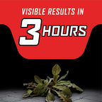 ORTHO GroundClear Year Long Vegetation Killer1 - Up to 1 Year of Weed and Grass Control, 2 gal.