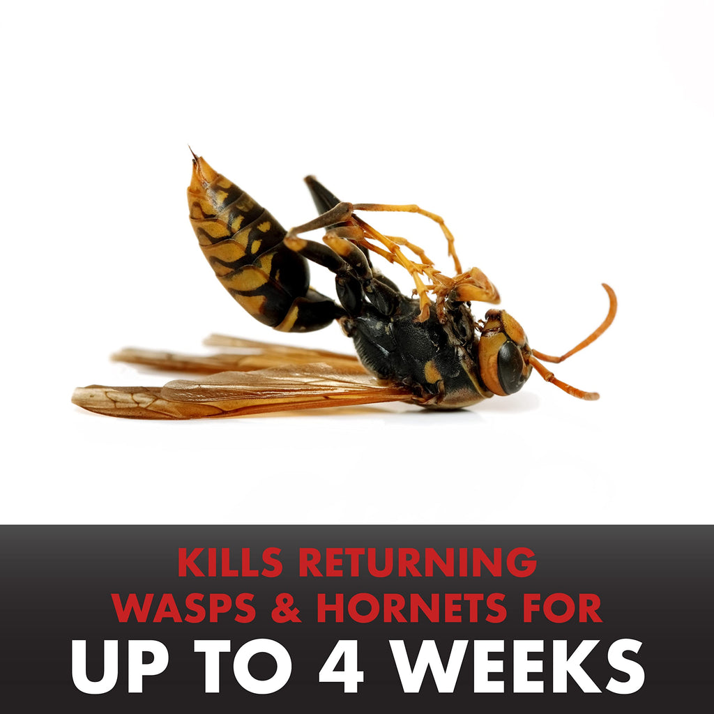 Spectracide PRO Wasp& Hornet Killer 18oz (Pack of 12)