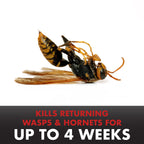 Spectracide PRO Wasp& Hornet Killer 18oz (Pack of 12)