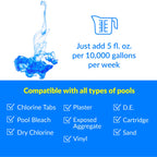No Mor Problems | Swimming Pool Preventative Algaecide | 2 Quarts Pack