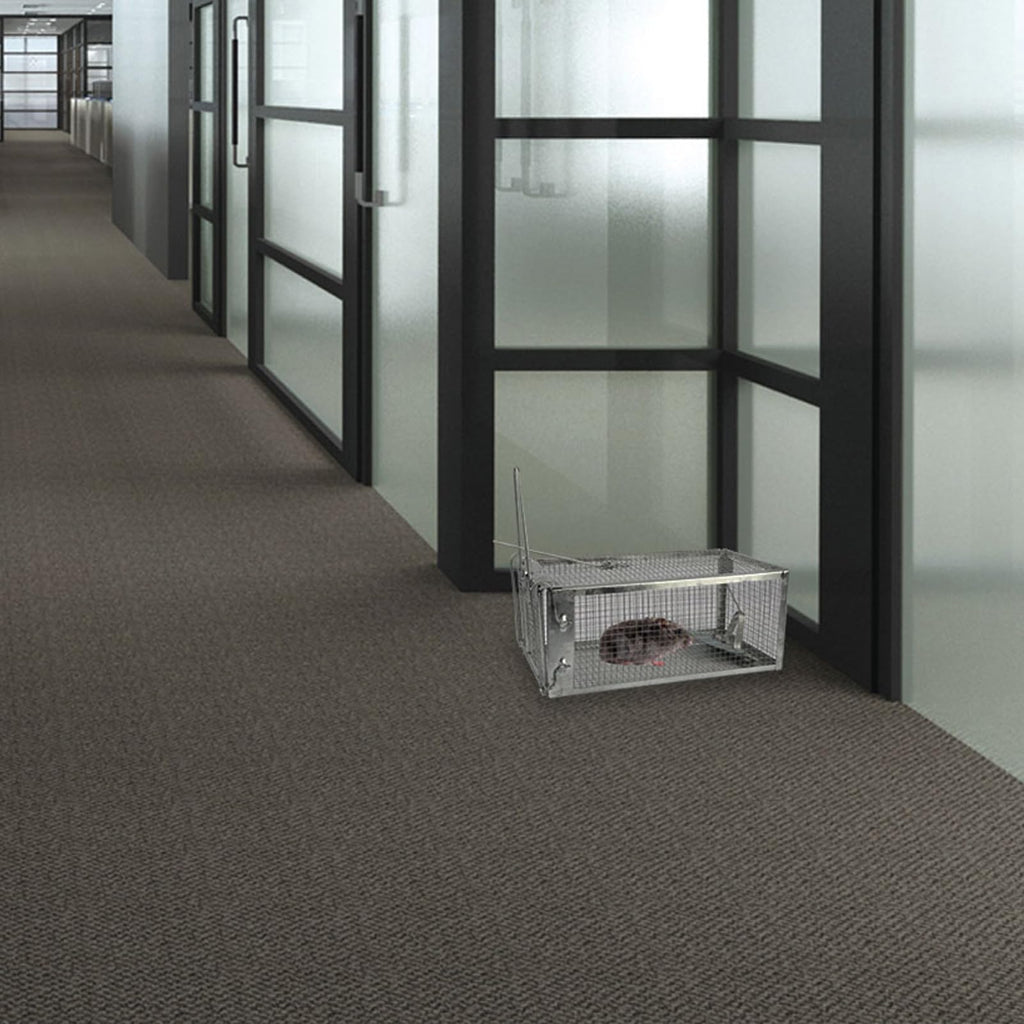 KOCASO 2 Pack Humane Rat Trap, 1-Door Small Live Chipmunk Trap That Work for Indoor Outdoor, Easy to Catch and Release Live Animal Trap Mouse Trap Cage for Rodent Mice Voles Hamsters, Metal & Reusable