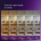 Philips LED Flicker-Free Frosted Dimmable A19 Light Bulb - EyeComfort Technology - 800 Lumen - Soft White (2700K) - 8W=60W - E26 Base - Title 20 Certified - Ultra Definition - Indoor - 4-Pack