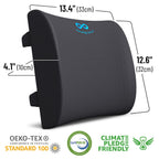 Everlasting Comfort Lumbar Support Pillow for Car Seat - Memory Foam Back Cushion for Car - Lumbar Pillow Promotes Better Posture, Back Pain Relief - Ideal for Driving