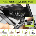 Ultra-Efficient Glue Mouse & Rat Traps -12 Pack Large Heavy Duty Glue Traps for Safe Home Pest Control. Pre-Baited, Non-Toxic Sticky Boards for Mice, Rats & More. Easy to Use, Child & Pet Safe