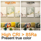 ILC RGB LED Light Bulb, Color Changing 40W Equivalent, Daylight White, 450LM Dimmable 5W E26 Screw Base RGBW, Mood Light Bulb - 12 Color Choices - Timing Infrared Remote Control Included (4 Pack)