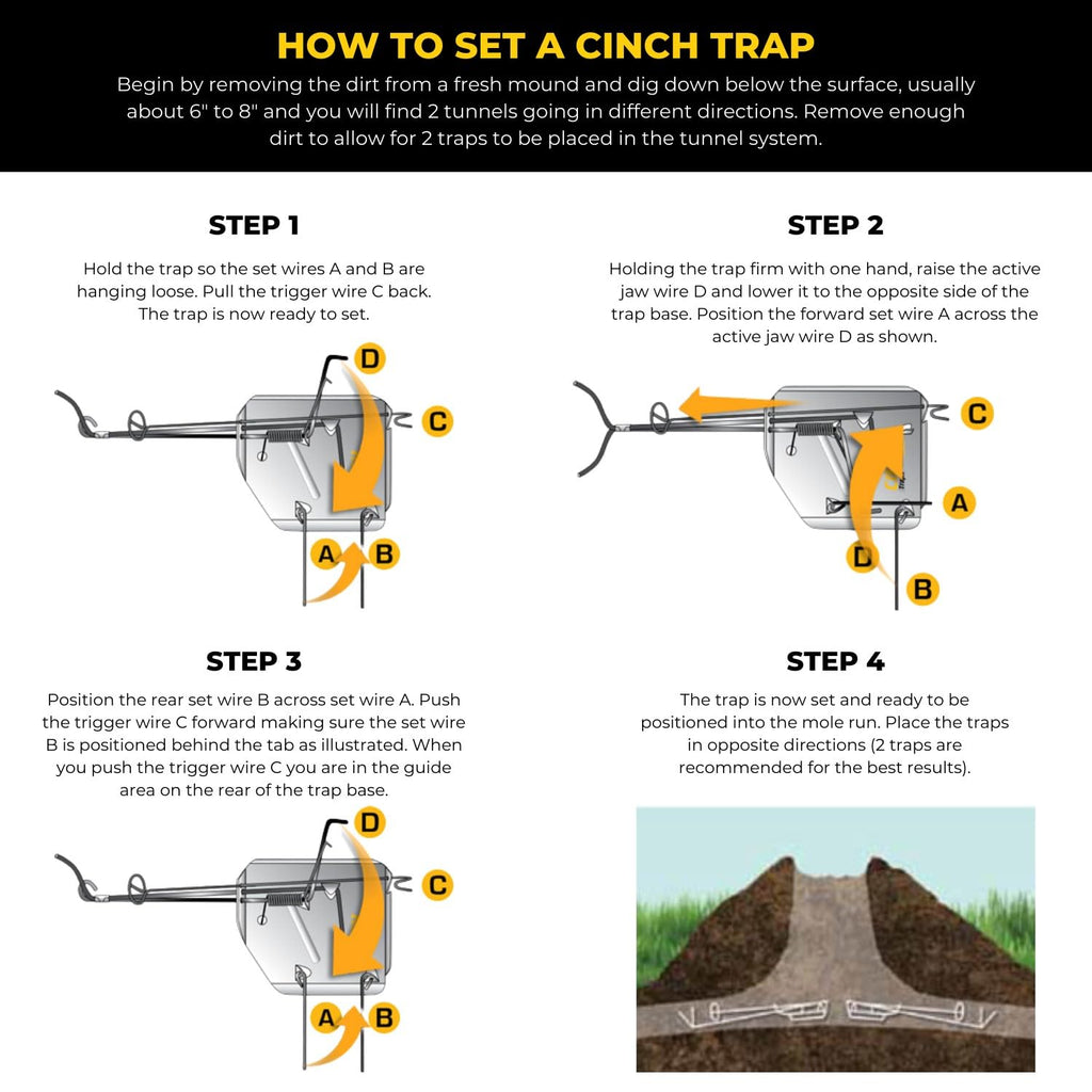 Cinch Mole Trap + Tunnel Marking Flags (Medium) - Precision-Engineered Mole Traps That Kill Best for Effective Mole Elimination in Lawns