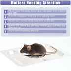 Qualirey 24 Pack Baited Glue Traps Sticky Mouse Trap Rat Traps Indoor Rodent Killer Baited Trays Rat Mouse Exterminator Plastic Sticky Non Toxic Mice Trap for Home Indoor Outdoor Mice Rats Rodent