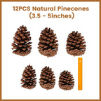 JOHOUSE 3.5-5Inch Natural Pine Cones Crafts, Natural Pinecone Ornaments Vase Fillers for Autumn and Winter Christmas Decorations