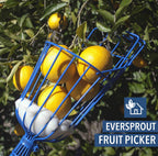 EVERSPROUT 12-Foot Fruit Picker (20+ Foot Reach) | Telescoping Fruit Picker Pole, Easy to Attach Twist-On Apple Basket | Lightweight, High-Grade Aluminum Extension Pole with Fruit Picker Basket