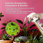 EcoVenger® Garden Insect Control 16 oz | Kills Aphids Mealybugs Spider Mites Gnats and Eggs | Indoor Outdoor | Plant-Based Child and Pet Safe