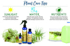 Air Plant Fertilizing Spray by Southside Plants - Fertilizer Mist for Houseplants, Weekly Plant Food - Gentle Mist Formula for Miracle Feed & Grow - 8 oz