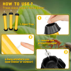 Fly Traps for Indoor Outdoor Hanging Fly Stick Sticky Mosquito Trap Fruit Fly Stick Trap Home Insect Fly Sticky Trap, 10 x 2.5 Inches (12 Pcs)