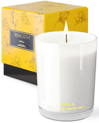 96NORTH | Pure Vanilla Candle | 100% Natural Soy Wax | Jar Candle | Natural Fragrance Technology | Non Toxic | Up to 35 Hours Burning Time | Aromatherapy Gift for Men and Women