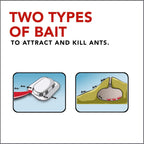 Raid Max Double Control Ant Baits, 8 CT 0.28 Ounce (Pack of 4)