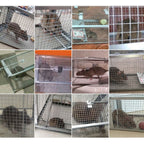 H&B Rat Trap,Mouse Traps,Humane Live Animal Trap Cage,Bait Station,Work for Indoor and Outdoor,12.7x6.6x5.2inch Catch and Release,Kill Home Gopher,Stray Cats,Squirrels and More Rodents,Silver,Small
