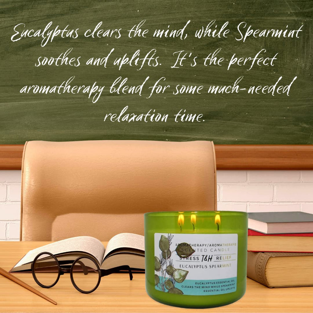 Eucalyptus Spearmint Aromatherapy Candle 3-Wick | Soy Scented Candle for Home | 15.8 oz Large Candle for Men and Women | Long Lasting Eucalyptus Candle | Decorative Candle Gift