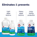 HTH 67084 Pool Care Algae Guard Advanced, All Algae Eliminator for Swimming Pools - Fast-Acting, Destroys & Prevents Green, Black & Mustard Algae, Keeps Pool Water Crystal Clear, 32 fl oz