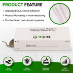 T3-R Sticky Large Rat & Mice Glue Traps | Mouse and Insect Glue Boards | Disposable Non-Toxic Glue Traps for Mice and Rats | Peanut Butter Scent Sticky Traps (36 Pack)