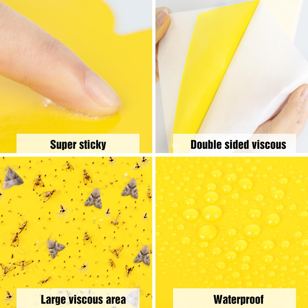 60 Pack Yellow Sticky Traps for Gnats Fruit Fly Traps for Indoors, Fungus Gnat Traps for House Indoor Fly Paper Indoor for Gnats Killer Indoor Trap