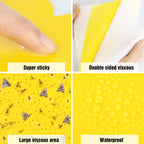 60 Pack Yellow Sticky Traps for Gnats Fruit Fly Traps for Indoors, Fungus Gnat Traps for House Indoor Fly Paper Indoor for Gnats Killer Indoor Trap