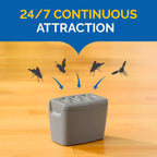 Hot Shot Flying Insect Trap, Discreet, Hassle-Free Trap Attracts, Captures House and Fruit Flies, 24/7 Continuous Attraction, No Plug-in Or Electricity Needed, 6 Count 984ml Each