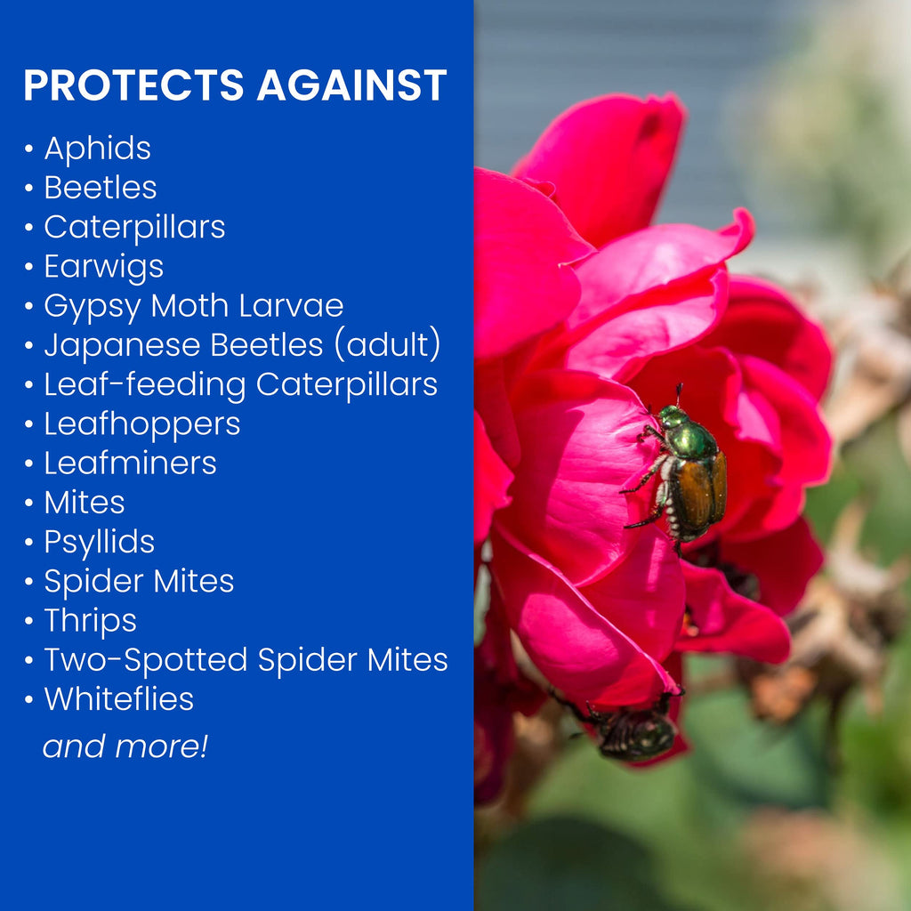 BioAdvanced 3-In-1 Insect, Disease and Mite Control, Concentrate, 32 oz