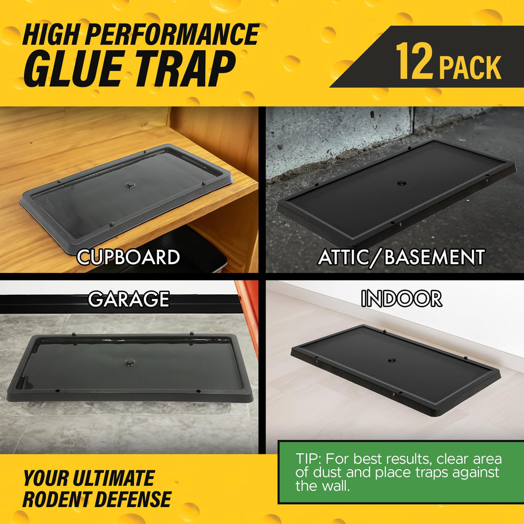 TRATPER Glue Traps for Mice,Rat,Mouse,Snake,Lizard,Insect. 12 Pack. Extra Strength,Pre-Baited Adhesive.Heavy Duty Plastic Tray.Non-Toxic,Chemical-Free Pest Control for Home. 12Pack