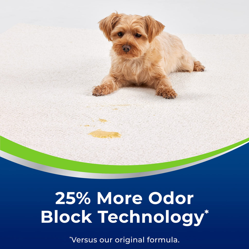 Woolite Advantage Heavy Traffic Carpet Foam - 4 Pack