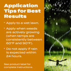 Scotts Turf Builder WinterGuard Fall Weed & Feed3, Weed Killer Plus Fall Fertilizer, 4,000 sq. ft., 11.43 lbs.
