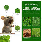 Mouse Rodent Repellent, 24 Pack Peppermint Lemon Oil Mice Repellent for Squirrel Rats Spider Pests, Natural Deterrent for Kitchen, Warehouse, Car, Indoor, Outdoor, Safe for Pets Family