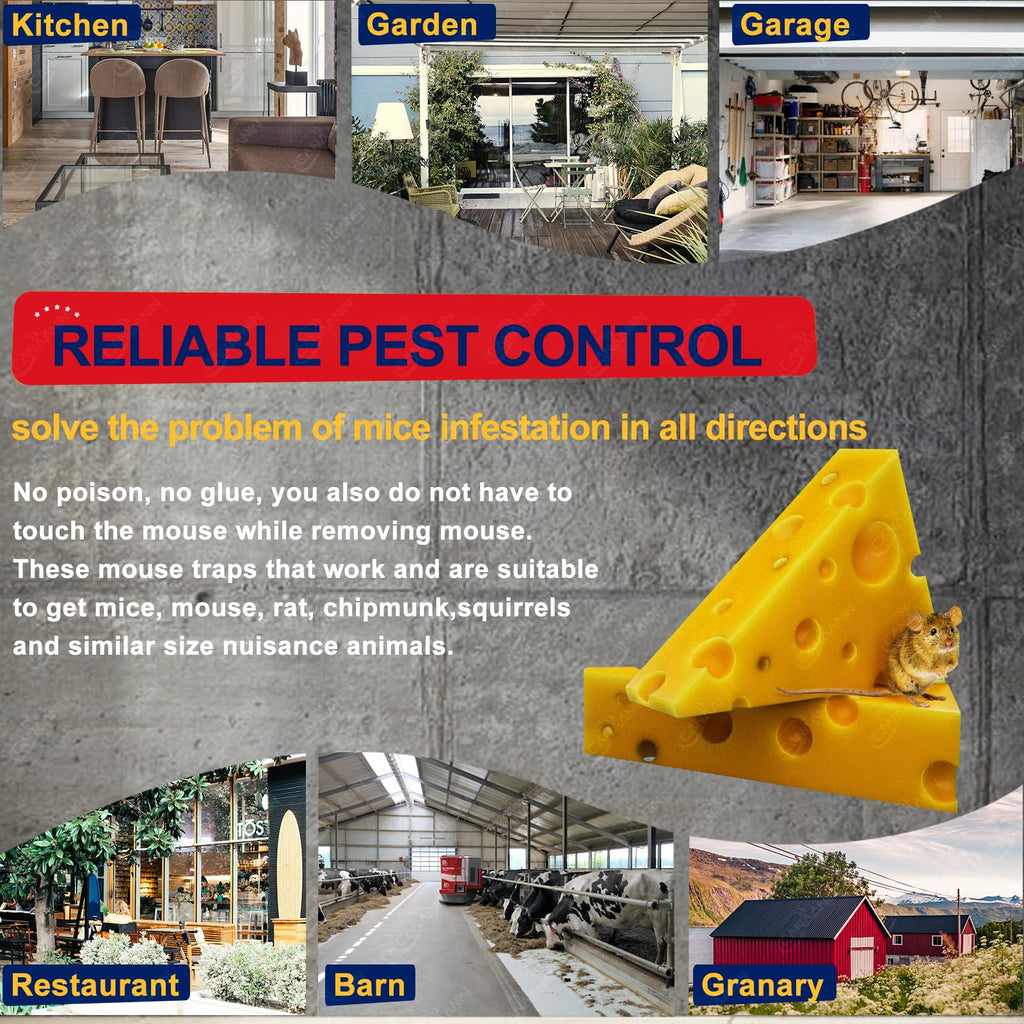CANAANIN Large Rat Traps, Mouse Traps That Work, Excellent Traps for Gophers, Snap Traps for Indoor Outdoor, Quick Effective Sanitary Safe, Snap Trap for Mouse, Chipmunk, Safety and Friendly 6 Pack