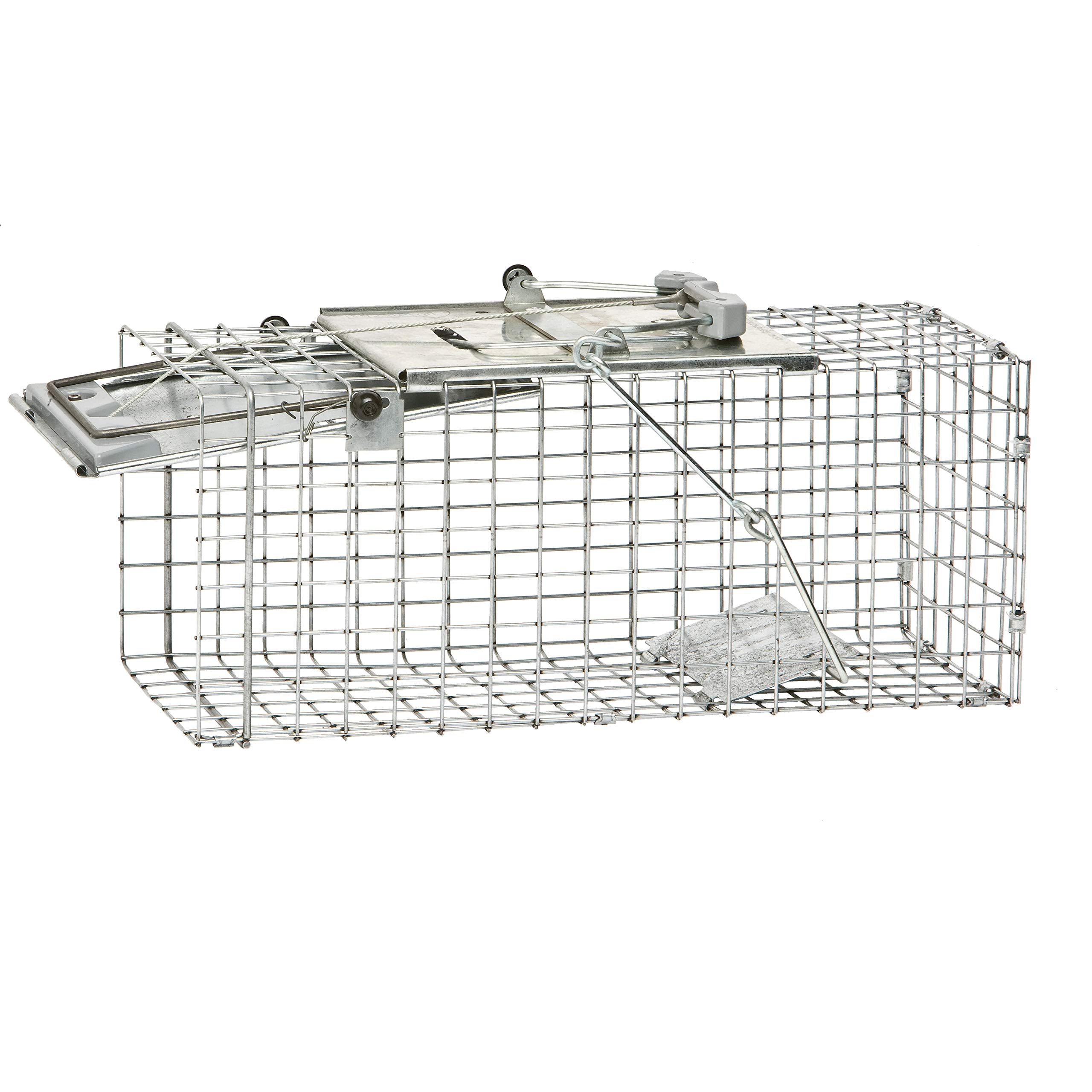 Havahart Easy-Set Catch and Release Small 1-Door Humane Live Animal Trap for Squirrels, Rabbits, Skunks, and Other Small Animals - 1083
