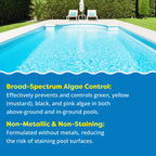 In The Swim Algaecide 60 Plus for Swimming Pools - Non-Metallic, Low Odor, Non-Foaming Algae Bloom Preventative - Chlorine Sanitizer Compatible - 1 Quart