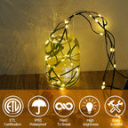 WATERGLIDE Extra Long 328 FT Fairy String Lights, 1000 LED Outdoor Christmas Lights, Green PVC Copper Wire Lights, Plug in 8 Modes & Waterproof for Xmas Tree Holiday Wedding Party Decor, Warm White