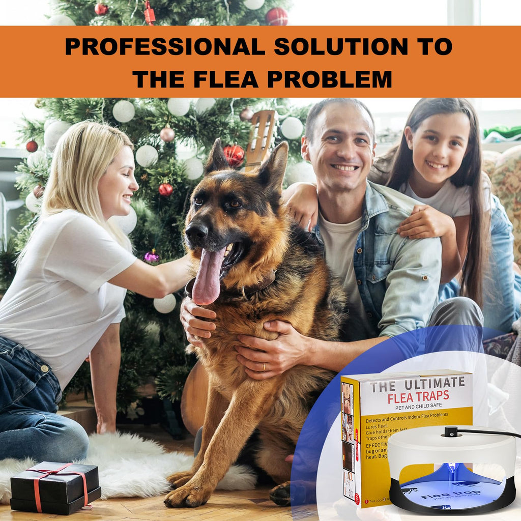 Qualirey 4 Pieces Flea Traps with 8 Sticky Disc 12 Bulbs 4 Electric Wires Flea Traps for Inside Your Home Safe Flea Light Trap for Indoor Safe to Pets and Kids (Black, White, UV Flea Trap)
