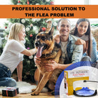 Qualirey 4 Pieces Flea Traps with 8 Sticky Disc 12 Bulbs 4 Electric Wires Flea Traps for Inside Your Home Safe Flea Light Trap for Indoor Safe to Pets and Kids (Black, White, UV Flea Trap)