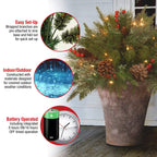 National Tree Company Company Pre-lit Artificial Christmas Tree Feel Real Urn Filler | Flocked with Mixed Decorations Strung LED Lights with Stand | Colonial-18 Inch, 18", Warm White