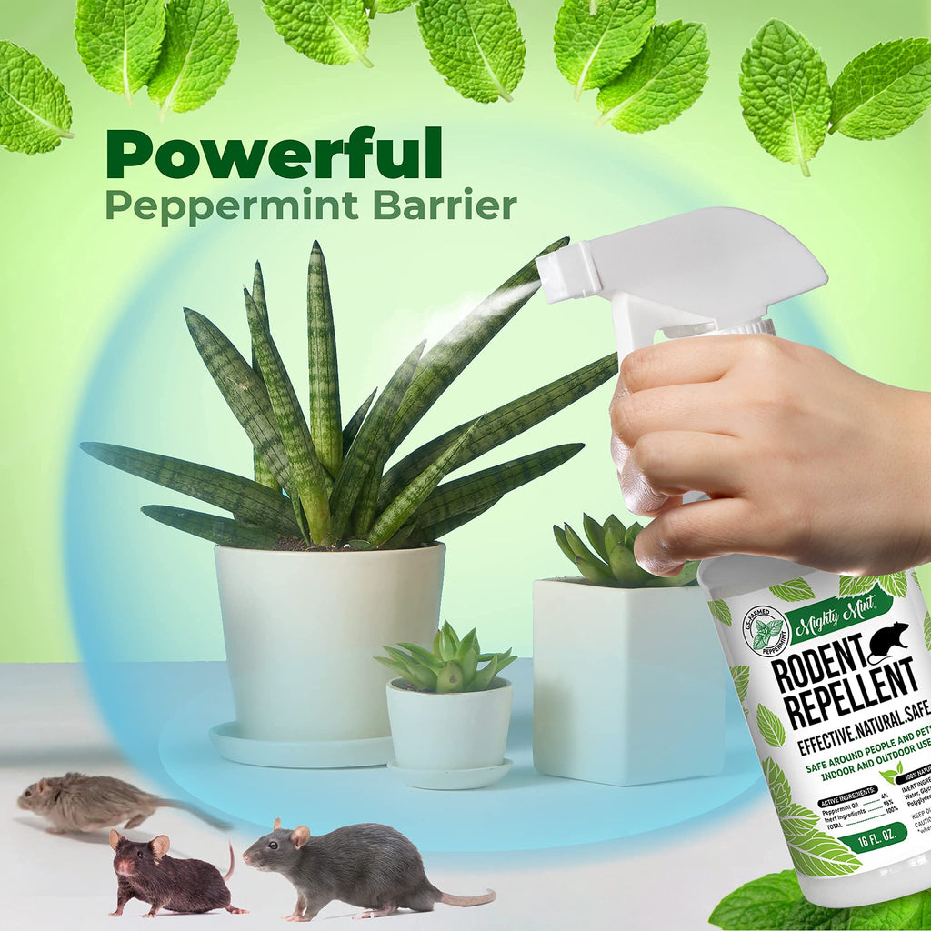 Mighty Mint 8 oz Peppermint Rodent Repellent Concentrate - Makes 1 Gallon - Natural Spray for Rats, Mice, and More