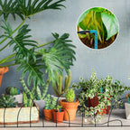 Automatic Watering System for Potted Plants, Indoor Garden Watering System Drip Irrigation Kits Saving Water Drip Irrigation System with Timer 33 FT Hose for Garden Rooms Balcony Indoor Plant