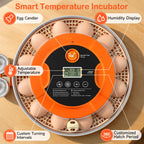 18 Egg Incubators for Hatching Eggs, Automatic Egg Turning and Humidity Control Incubator for Hatch Chicken Duck Quail Pigeon Pheasant Partridge Home Classroom Lab-