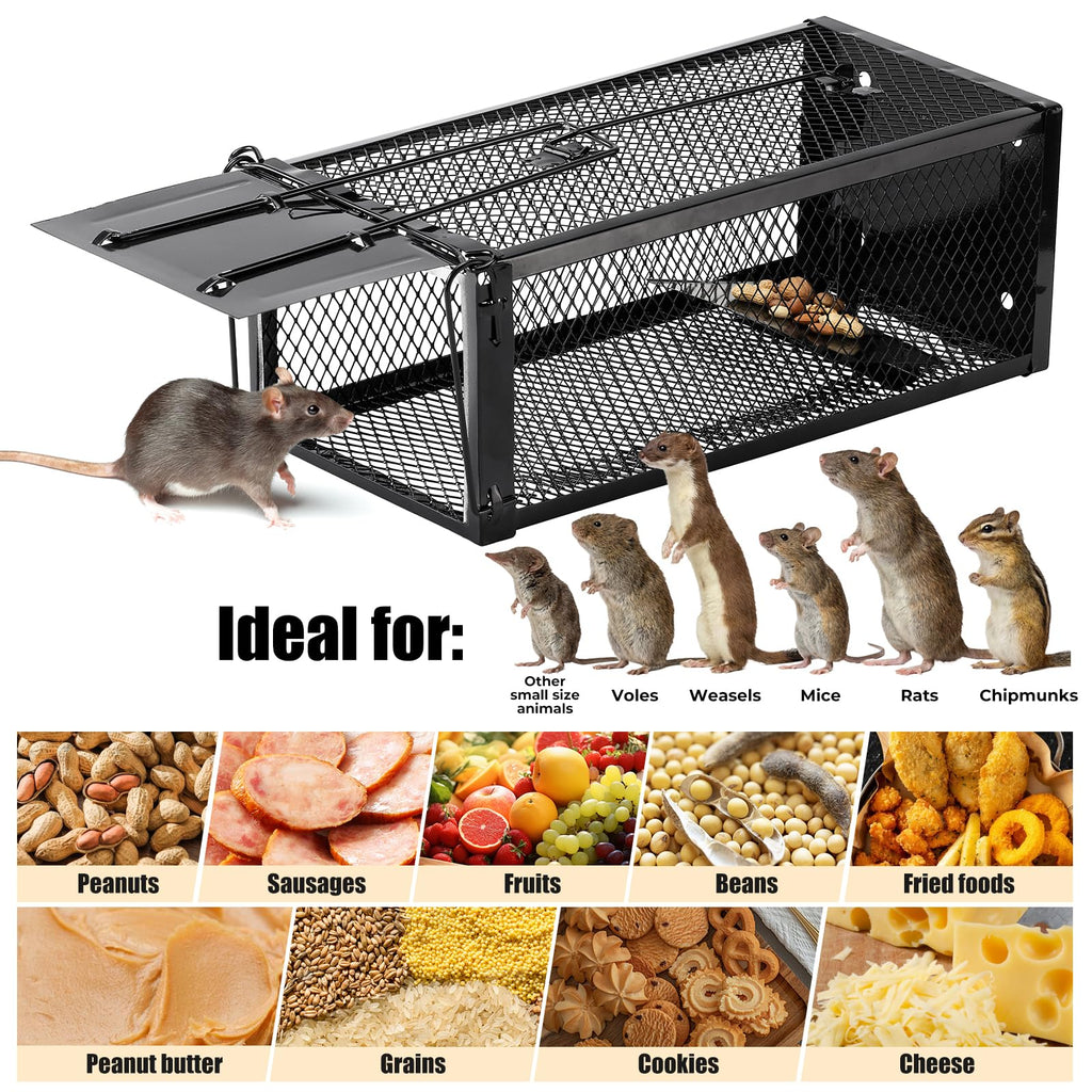 Pivmuth 2 Pack Humane Rat Traps 12.5"x5.5"x4.5", Reusable Mouse Traps for Indoor/Outdoor Use, No-Kill Live Capture for Chipmunks, Squirrels, Rats, Mice