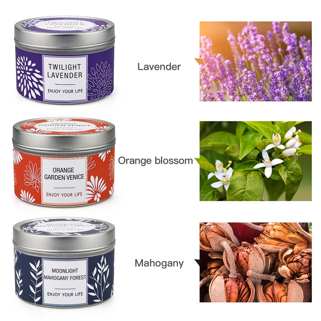 Scented Candles Clearance, 3 Pack Candles for Home Scented, 100 Hour Long Lasting Soy Candles, Valentines Day Candles Gifts for Women, Aromatherapy Candles Lavender | Orange Blossom | Mahogany Candle