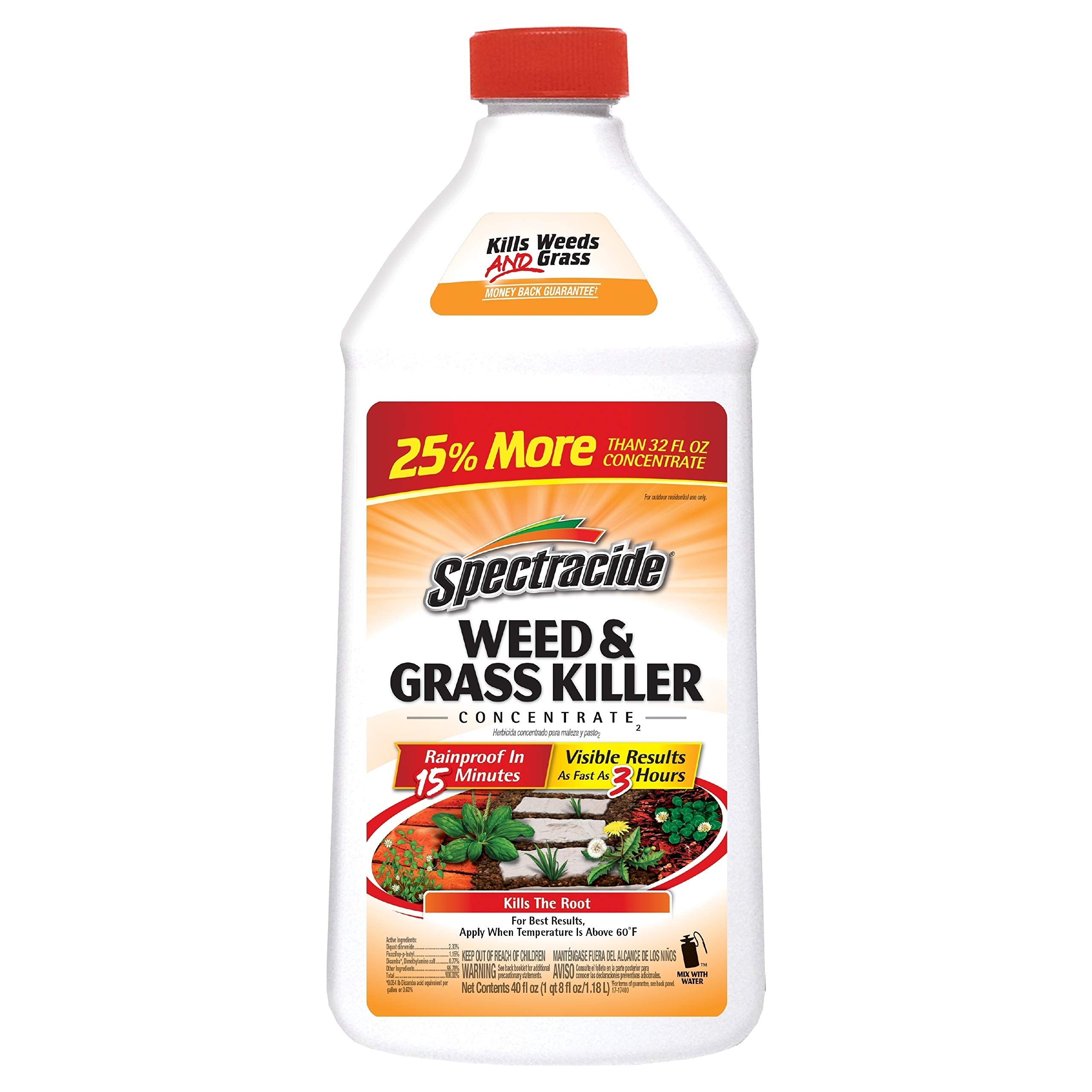 Spectracide Weed & Grass Killer Concentrate - 40 fl oz