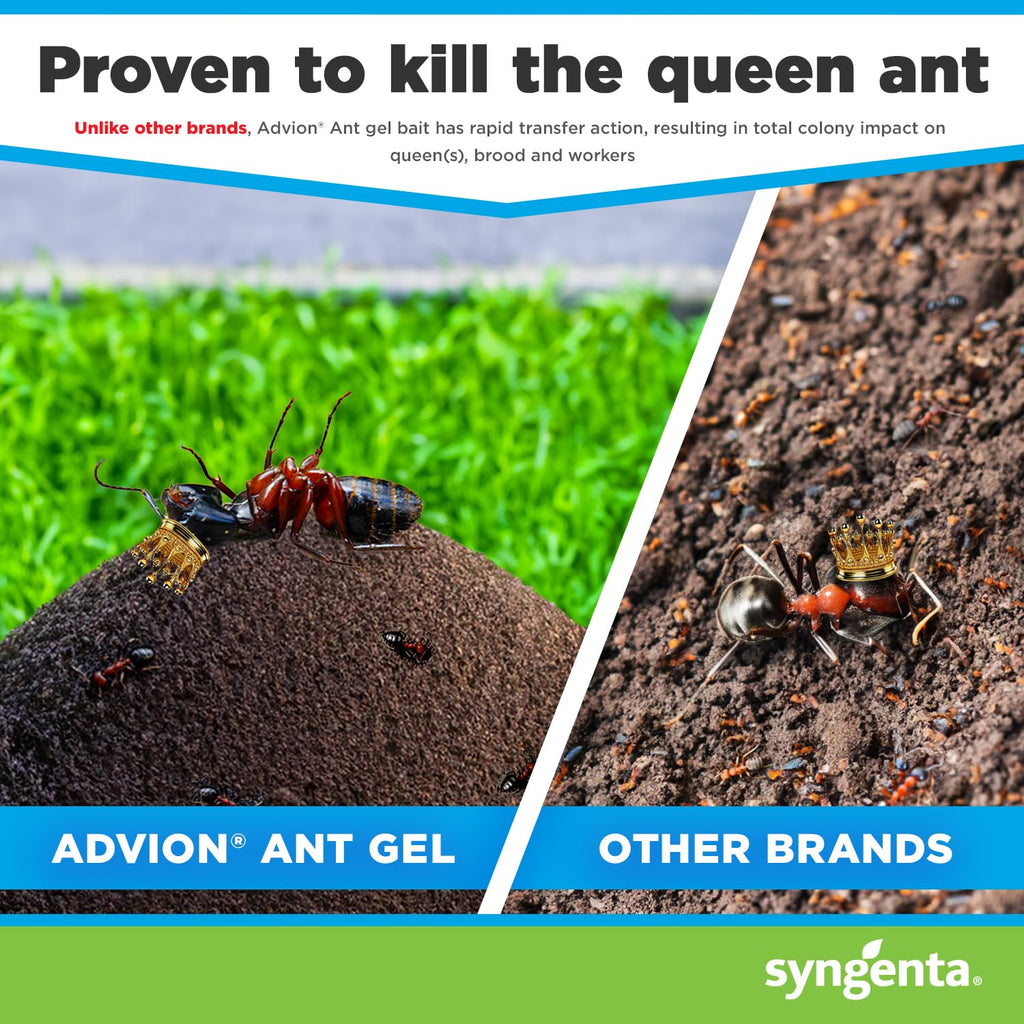 Syngenta Advion Ant Gel Station Insecticide, Ready-to-Use Gel Bait with The Active Ingredient Indoxacarb, Ant Bait for Use Indoor and Outdoor, 3 Boxes (9 Total Stations)