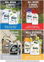 Roundup 5107315 Extended Control Weed and Grass Killer RTU 24 Oz.