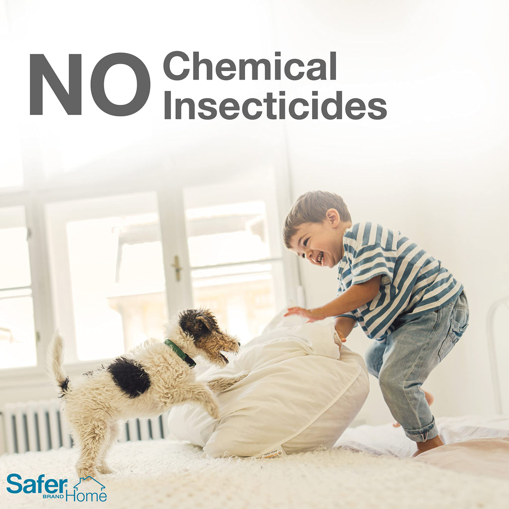 Safer Brand 12 Safer Home SH400SR Indoor Spider, Ant, Cockroach, Centipede, and Crawling Insect Traps, Blue