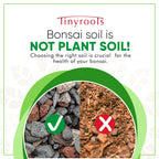 Bonsai Outlet Bonsai Soil Mix - Tinyroots All Purpose Bonsai Soil Mix Ready to Use Blend, Used for All Varieties of Bonsai Trees, 2.5 Gallons