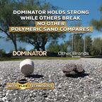 10 Pound Titanium Gray DOMINATOR Polymeric Sand with Revolutionary Ceramic Flex Technology for Stabilizing Paver Joints/Gaps, 1/8” up to 4”, Professional Grade Results