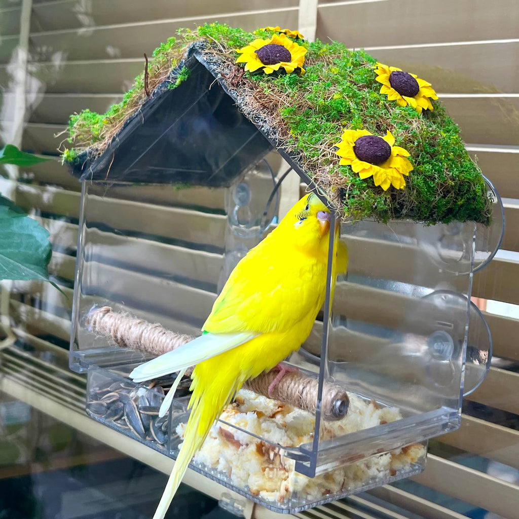 Window Bird Feeder with 4 Strong Suction Cups, DIY Clear Bird Feeder with Lawn on Top, Wild Bird House Window for Garden or Yard Decor, Elderly Kids Viewing,Bird Watching Gift